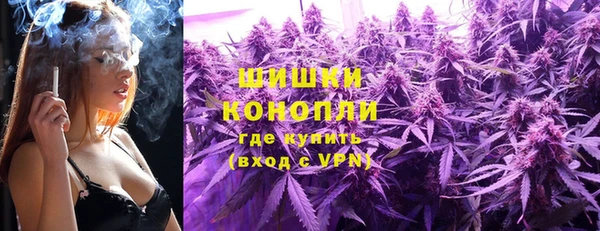 мдпв Костерёво